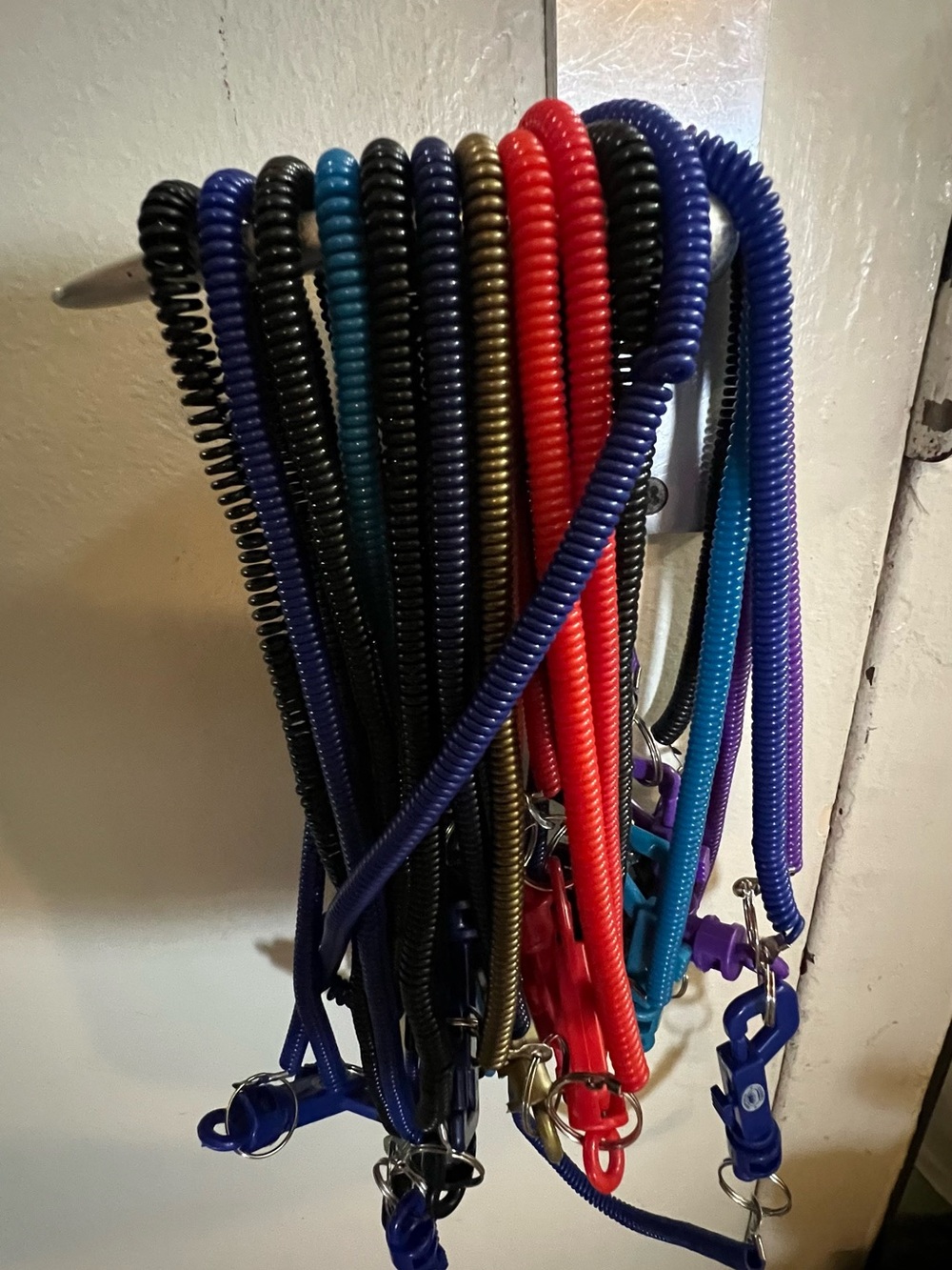 Kids Coiled Leash Set in Black, Blue, Red, Purple & Teal-16